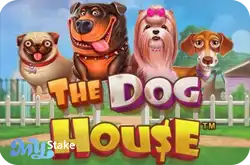 The Dog House